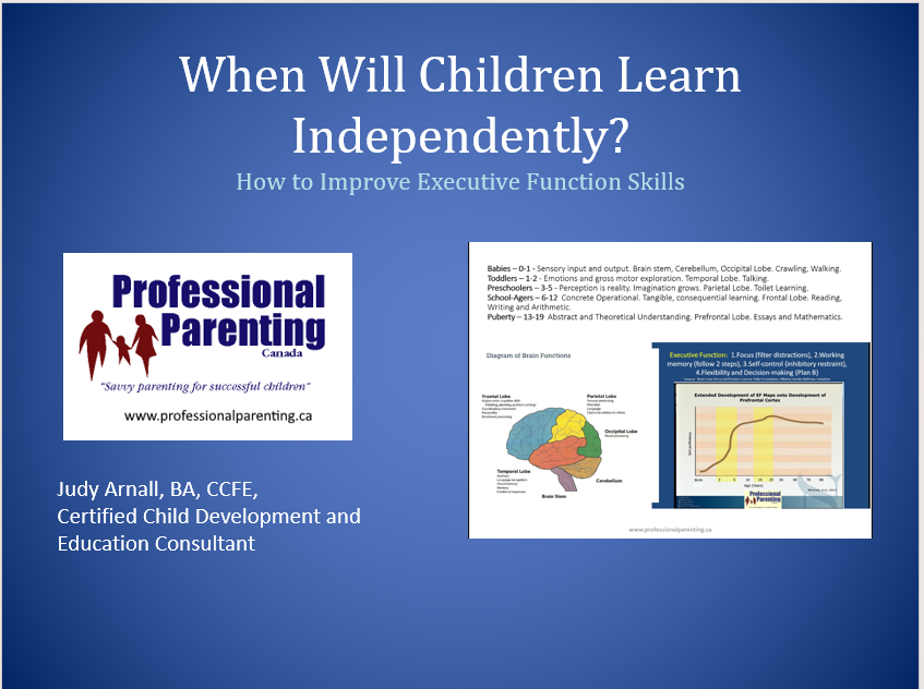 fostering executive function skills in home education